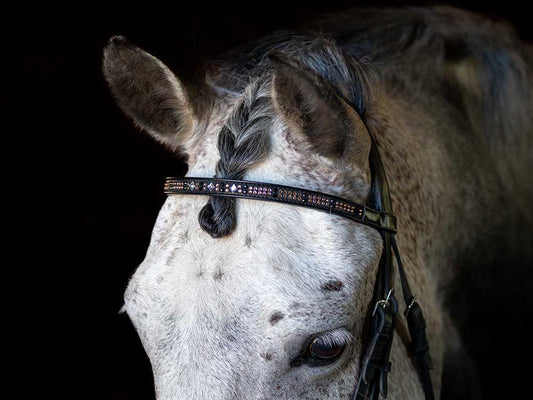 Glistening Copper Browband