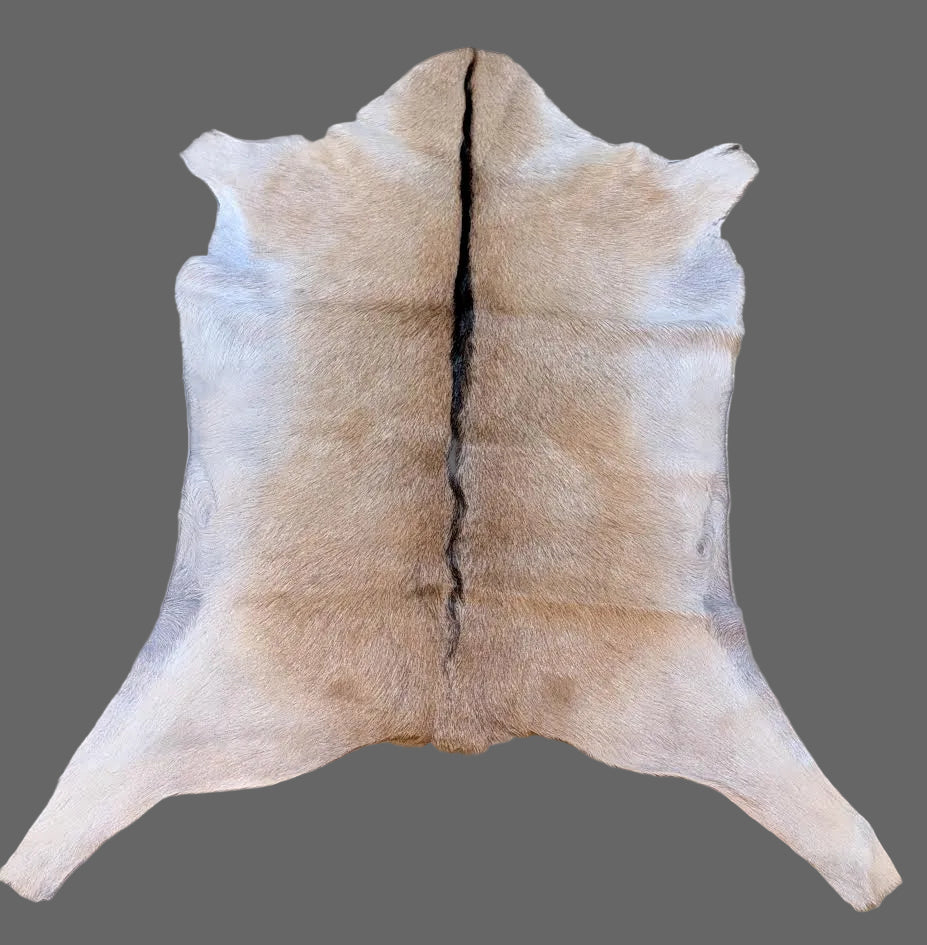 Goat Hide "Tanner"