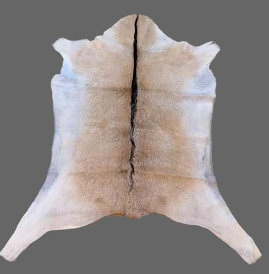 Goat Hide "Tanner"