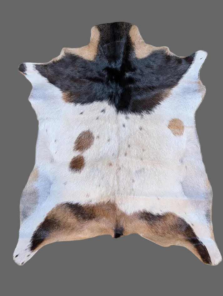 Goat Hide "Lynard"