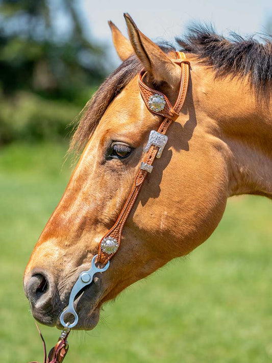 Millsboro Headstall