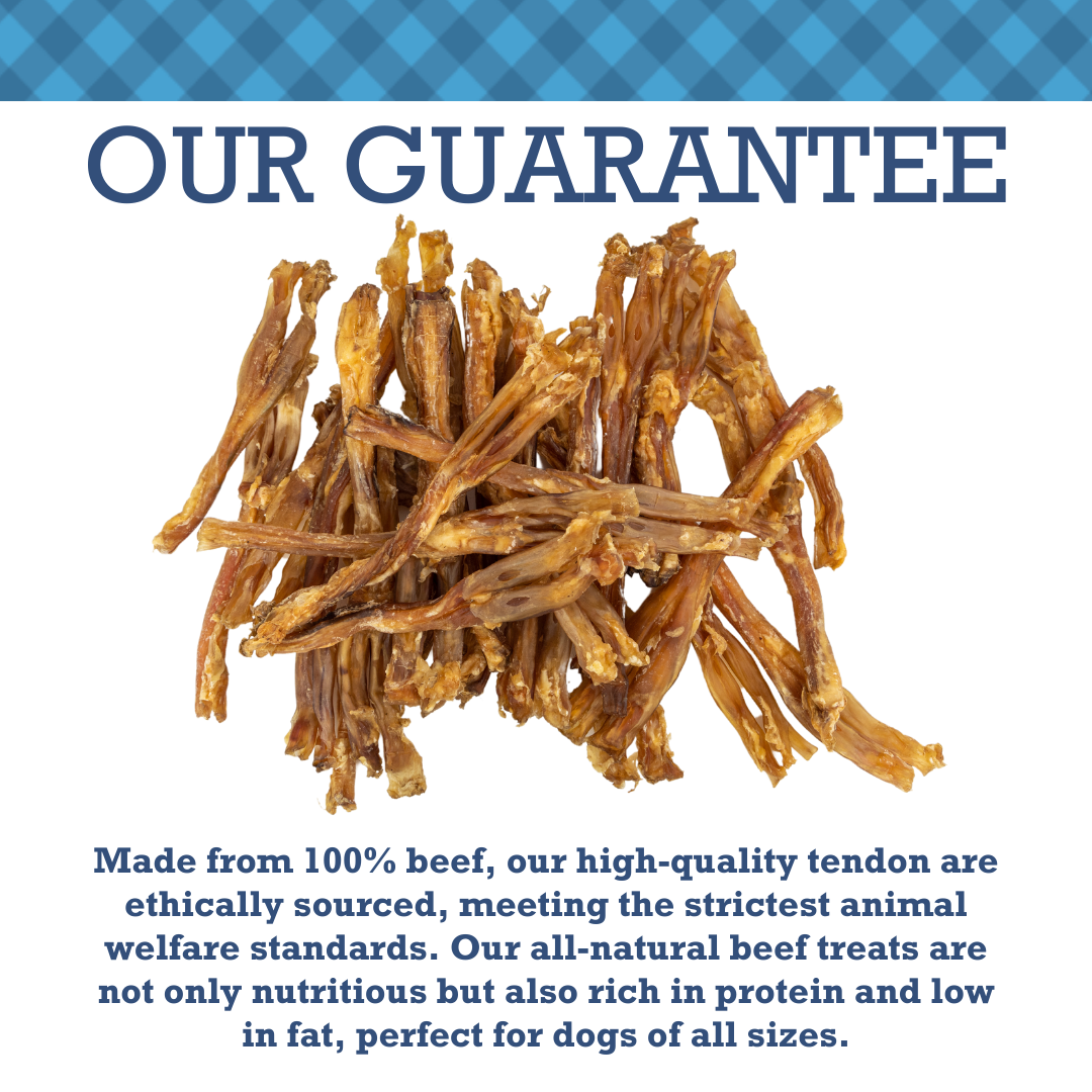 All-Natural Beef Y Tendon Dog Treats – High-Protein, Low-Fat Chews – Jumbo (10-Pack)