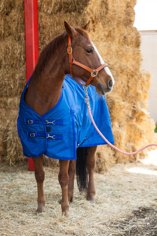1200D Ripstop Turnout & Stable Blanket