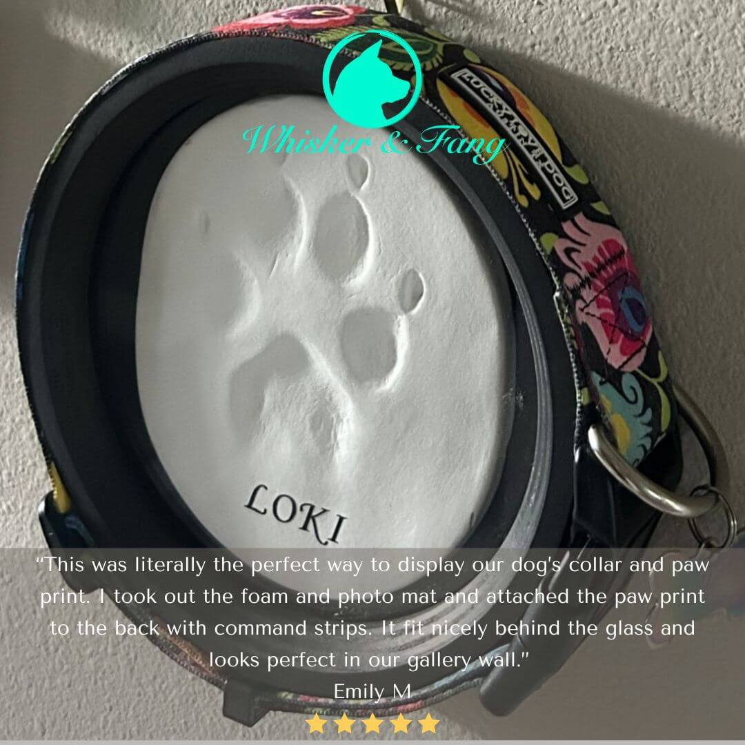 Paw Print & Collar Memorial Frame