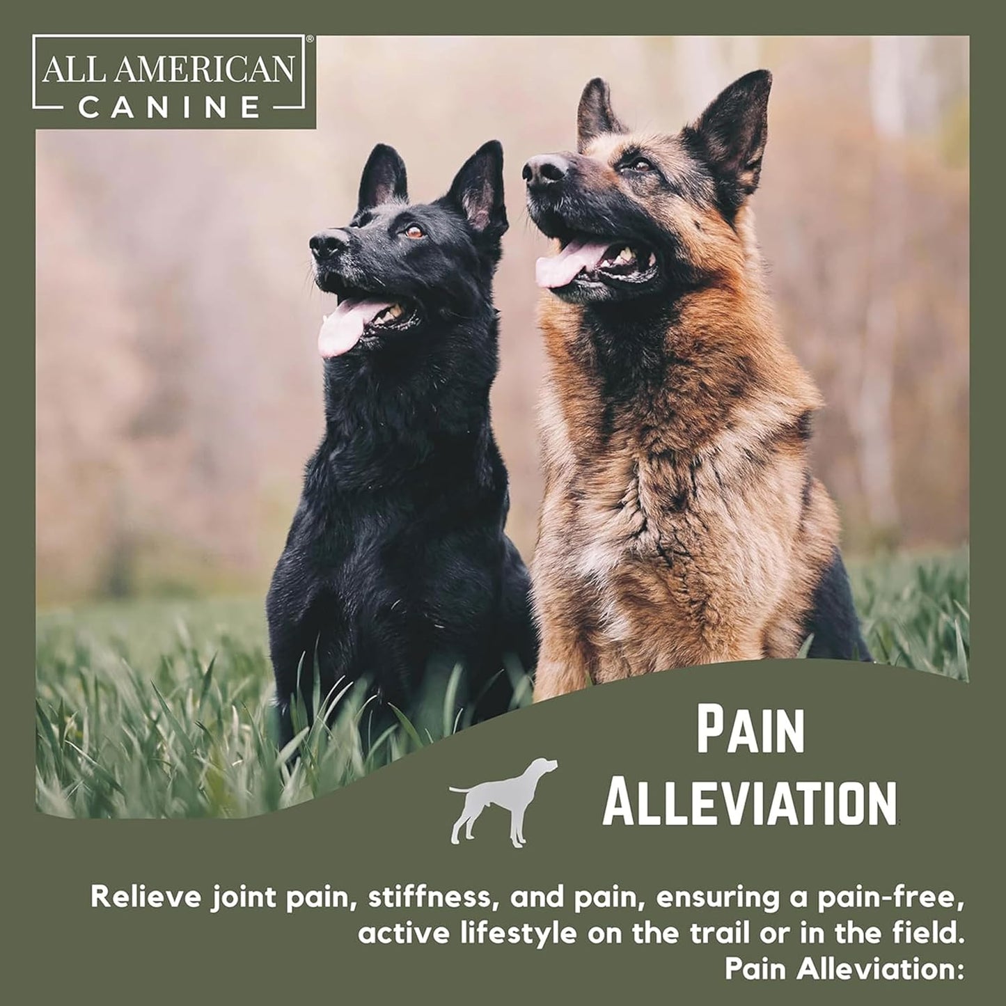 Hip & Joint Support Soft Chews