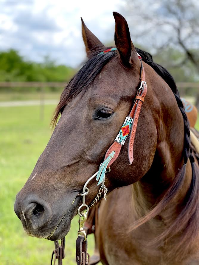 Lagniappe