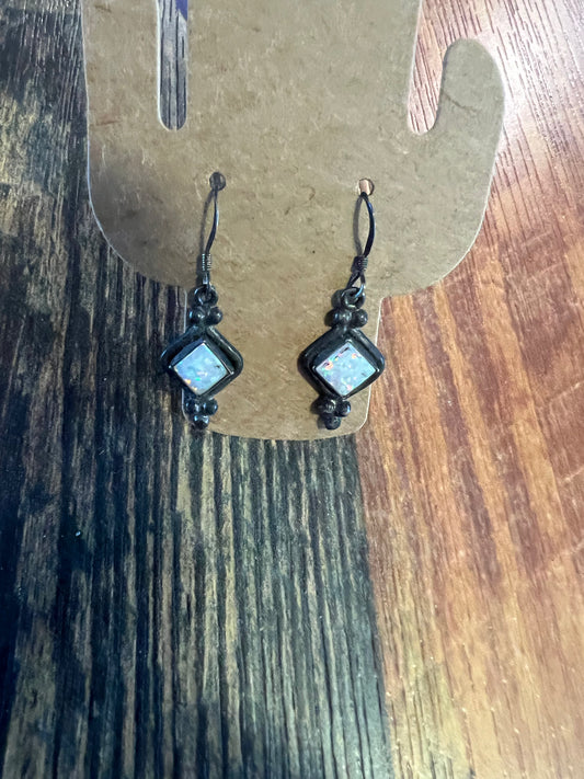 Earrings ZX