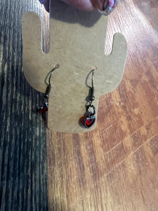 Earrings ZZA