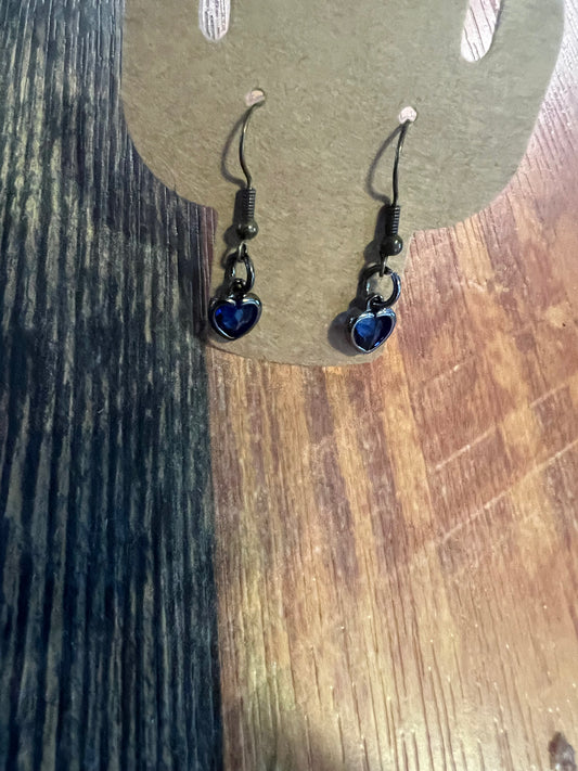 Earrings ZZB