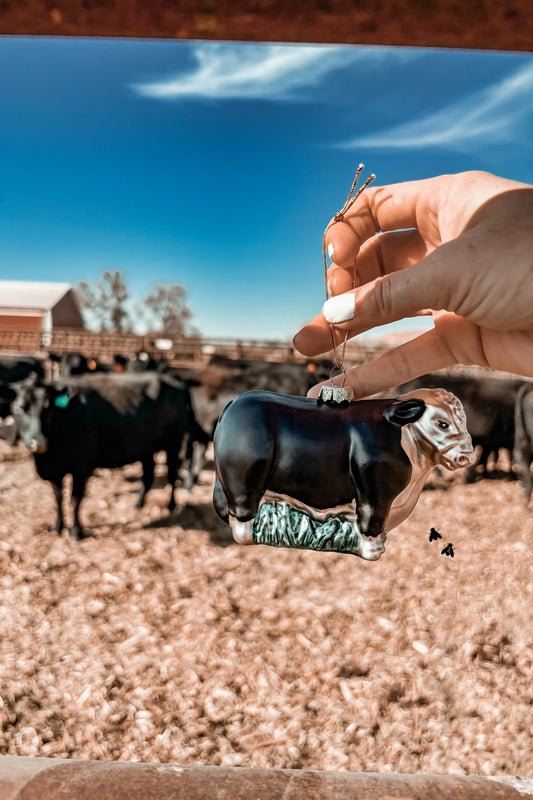 Fly Herd Baldie Ornament