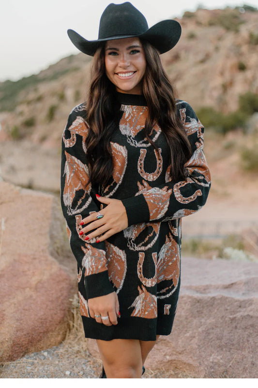 Ruidoso Sweater Ddess