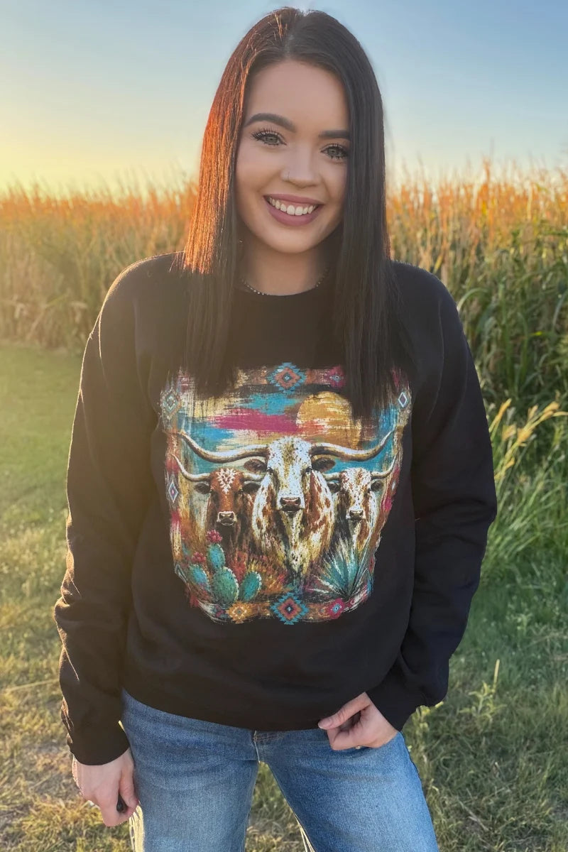 Painted West Pullover