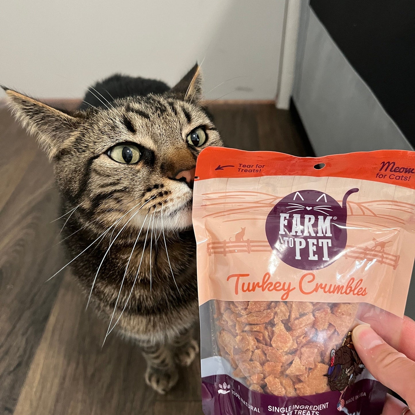 Turkey Crumbles for Cats | 100% Protein Cat Treats