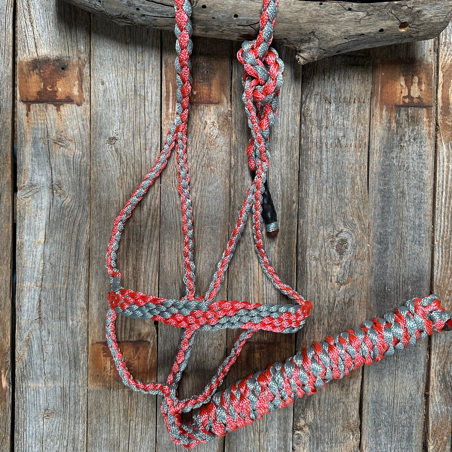 Coral and Grey Mule Tape Halter