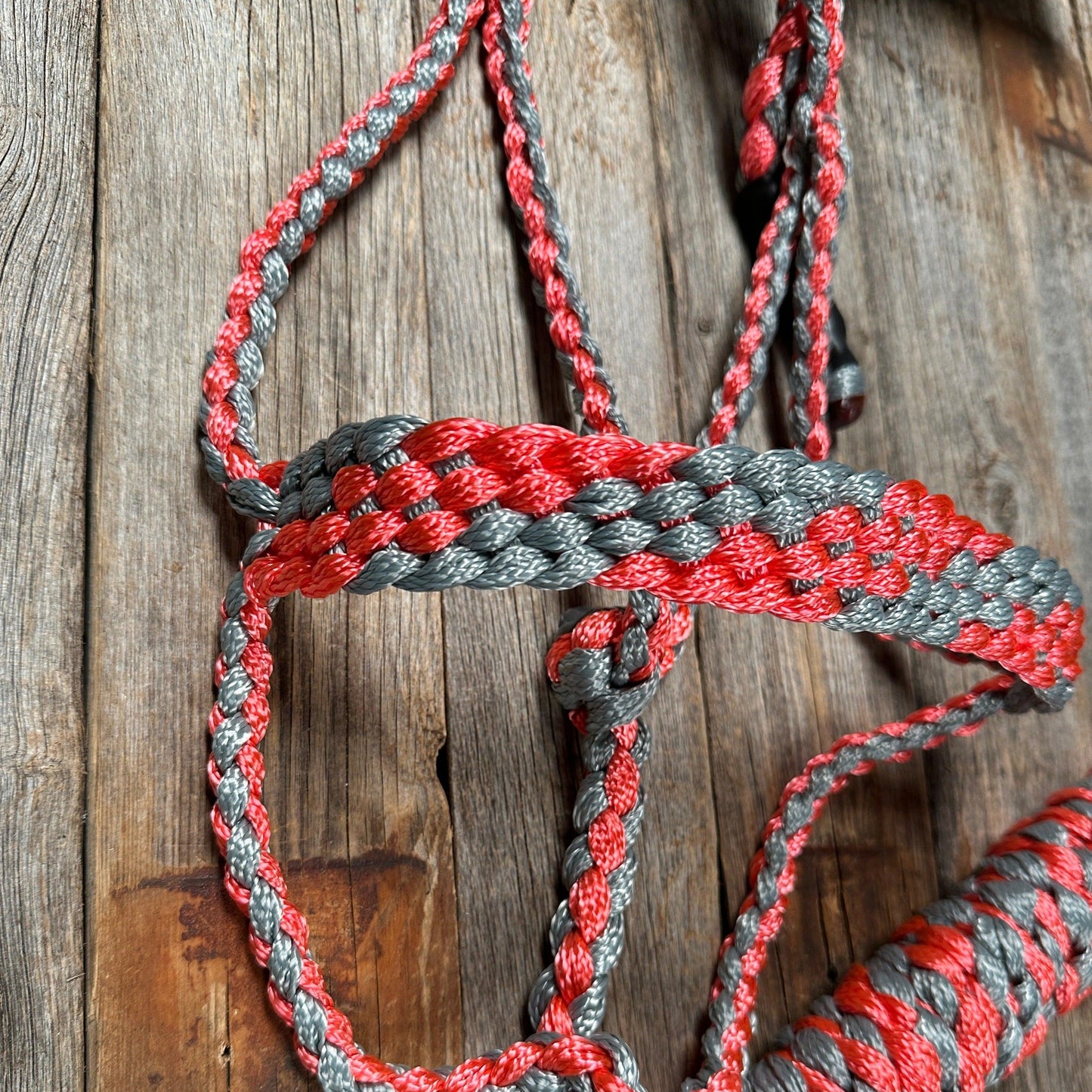 Coral and Grey Mule Tape Halter