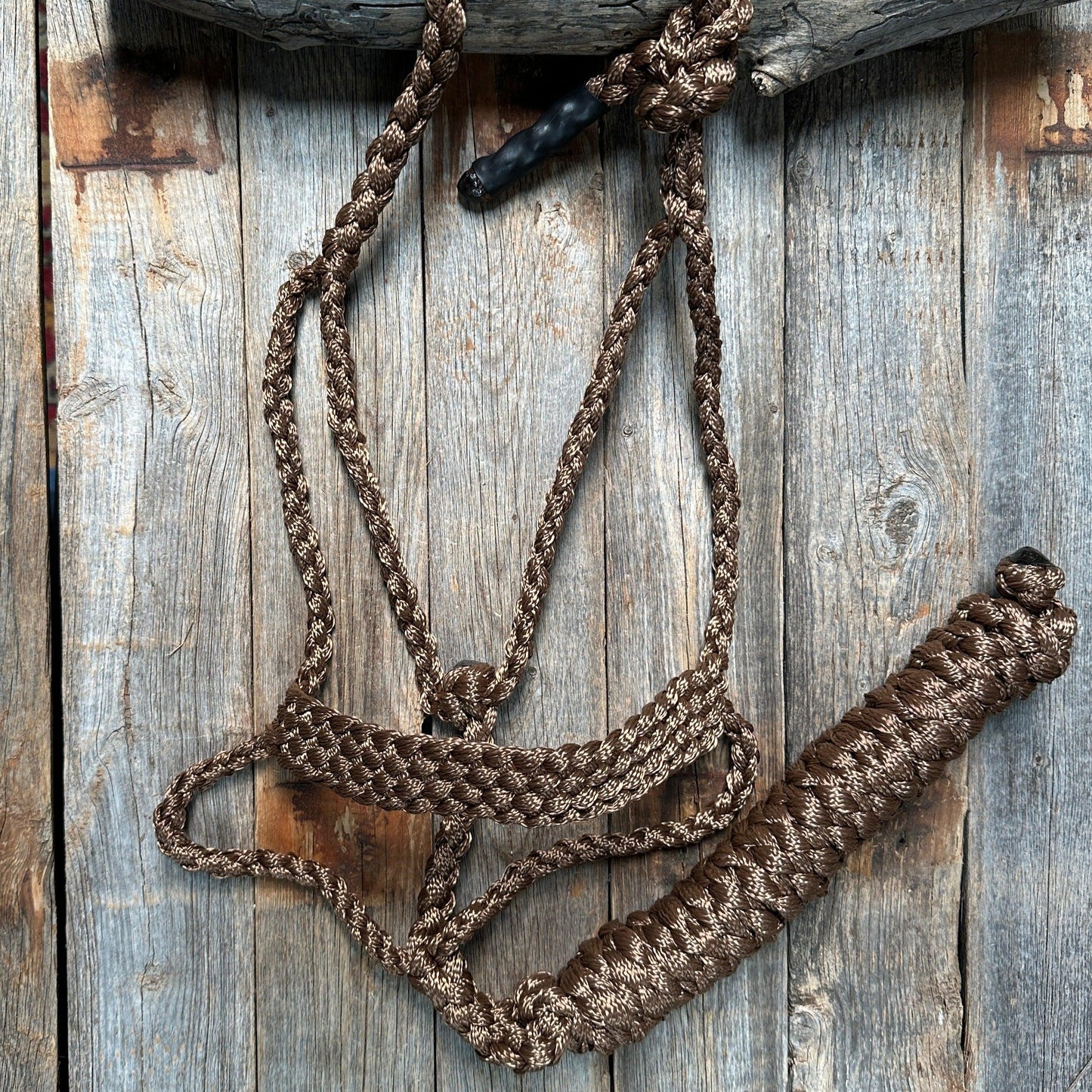 Brown Mule Tape Halter