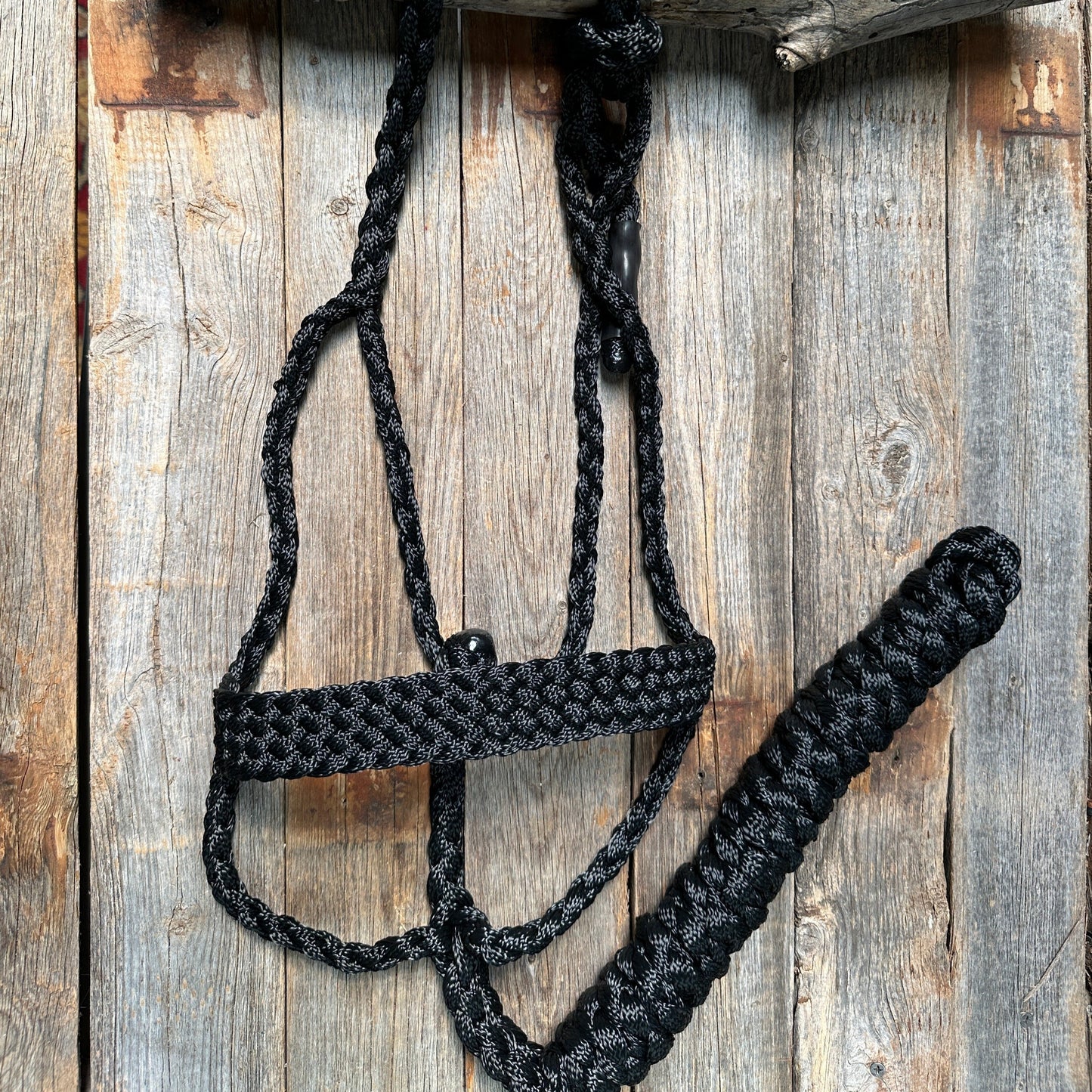 Black Mule Tape Halter