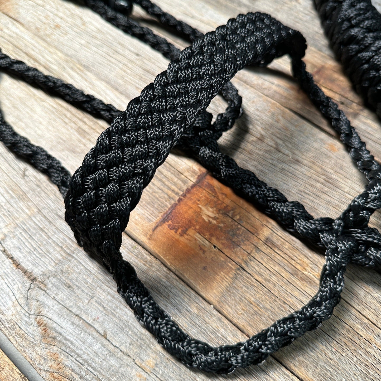 Black Mule Tape Halter