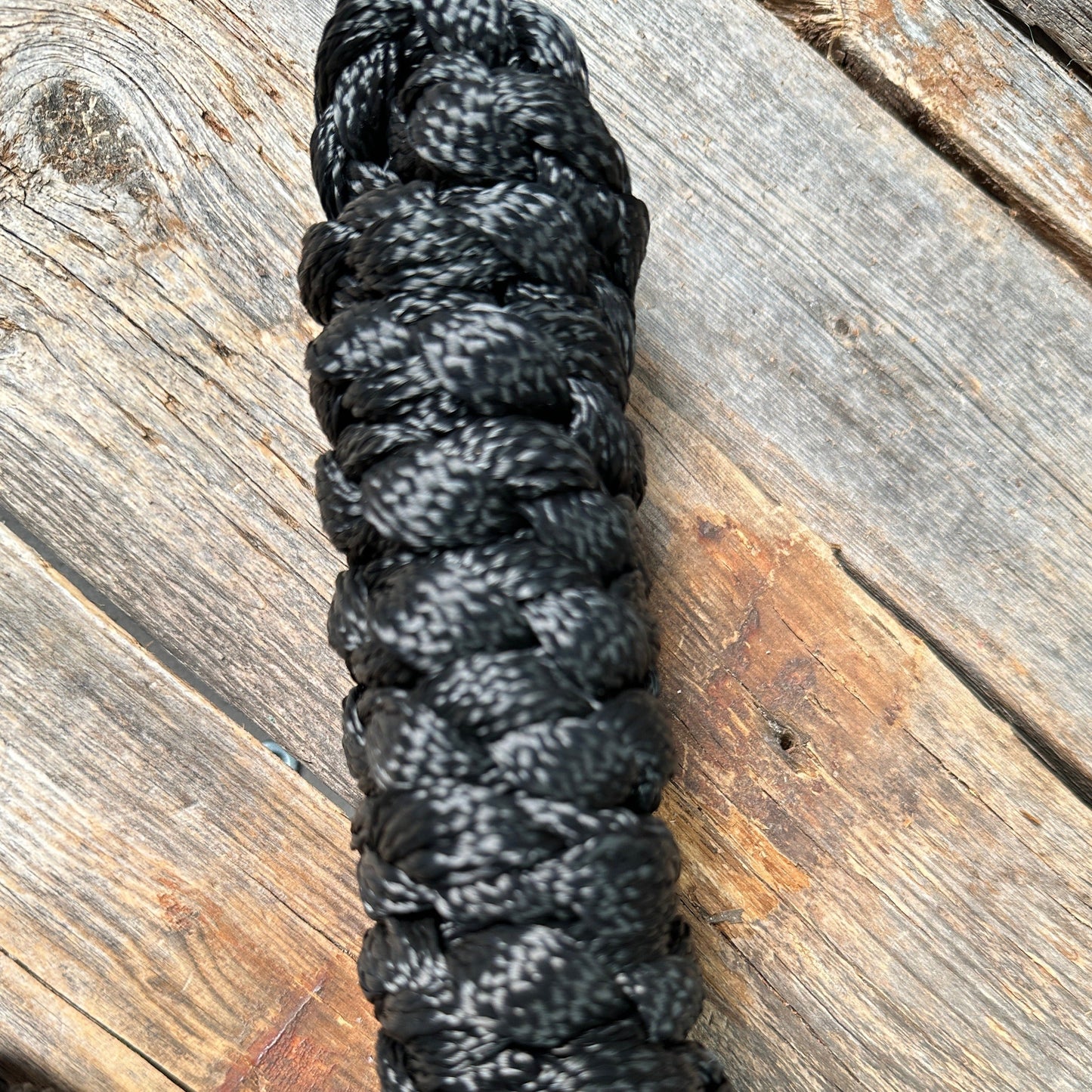 Black Mule Tape Halter