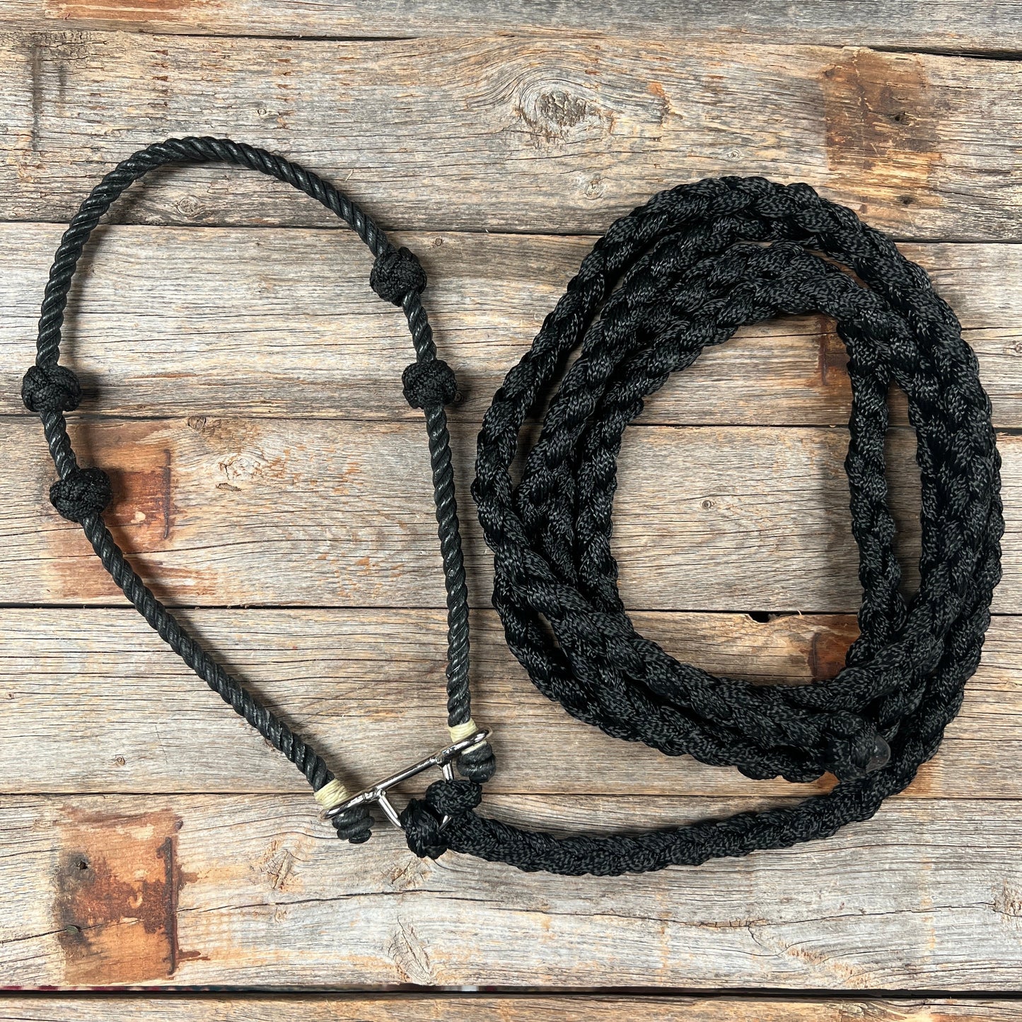 Lariat Noseband and Lead - Assorted Colors