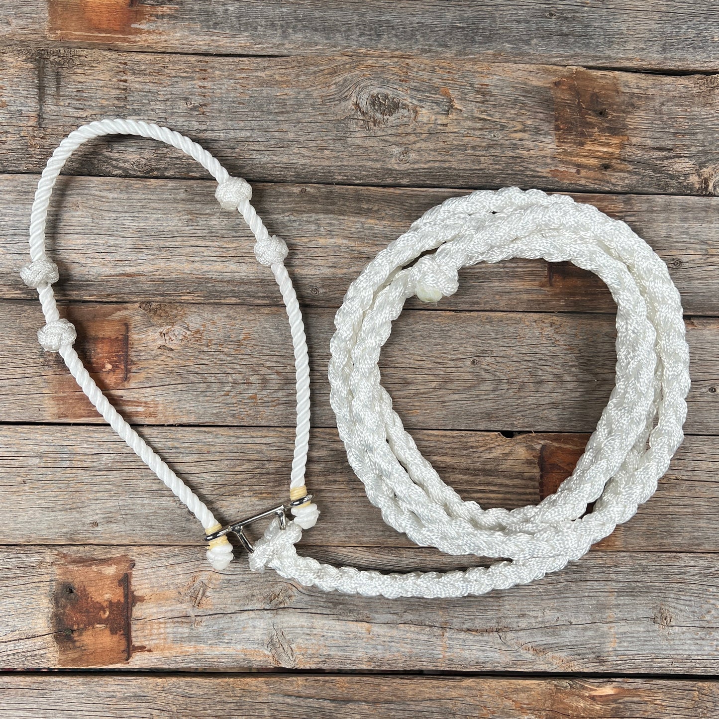 Lariat Noseband and Lead - Assorted Colors