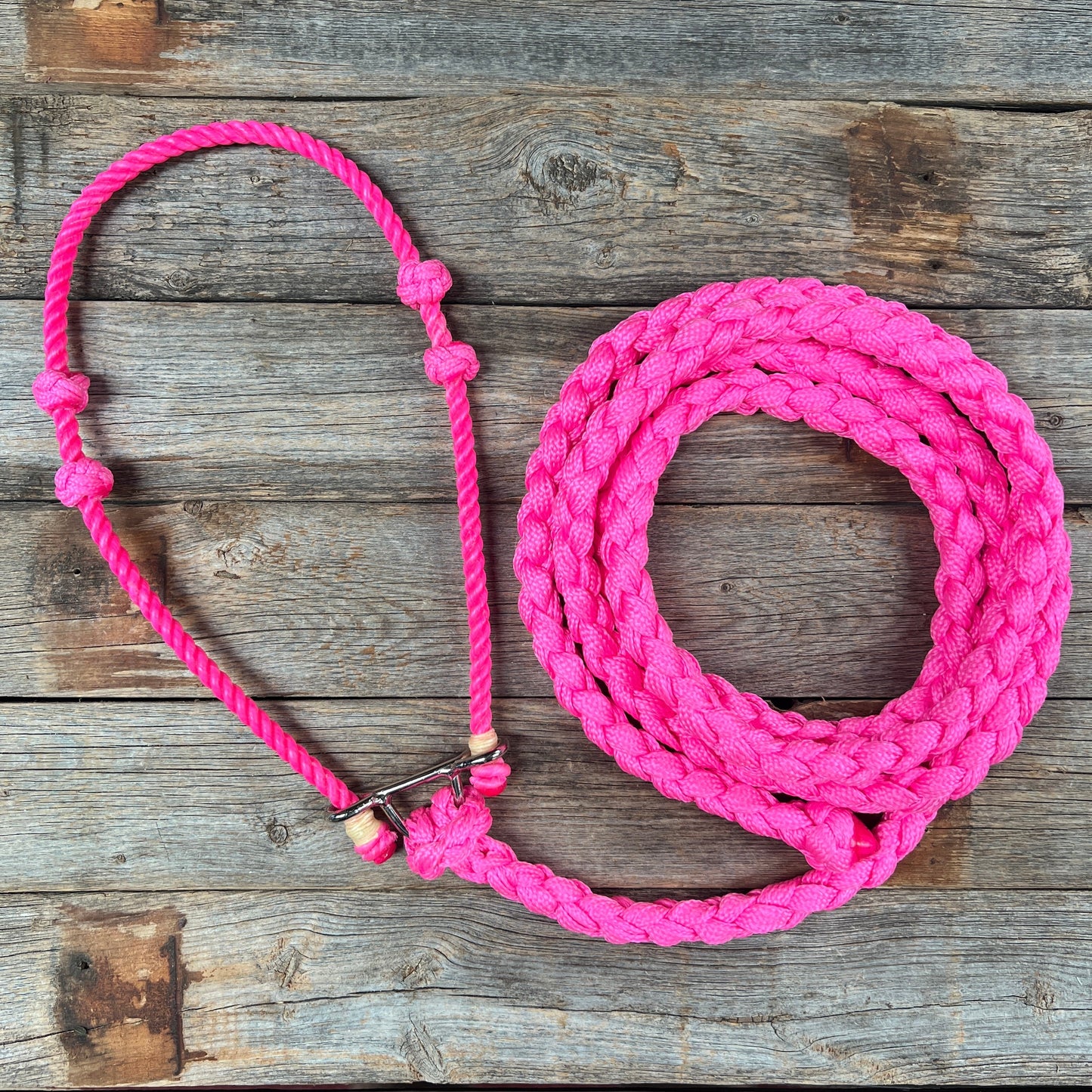 Lariat Noseband and Lead - Assorted Colors