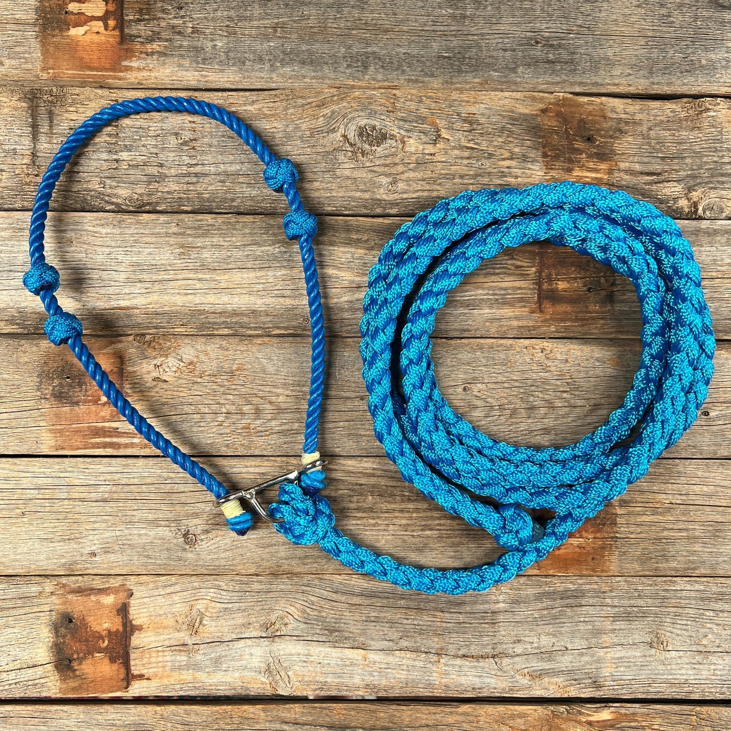 Lariat Noseband and Lead - Assorted Colors