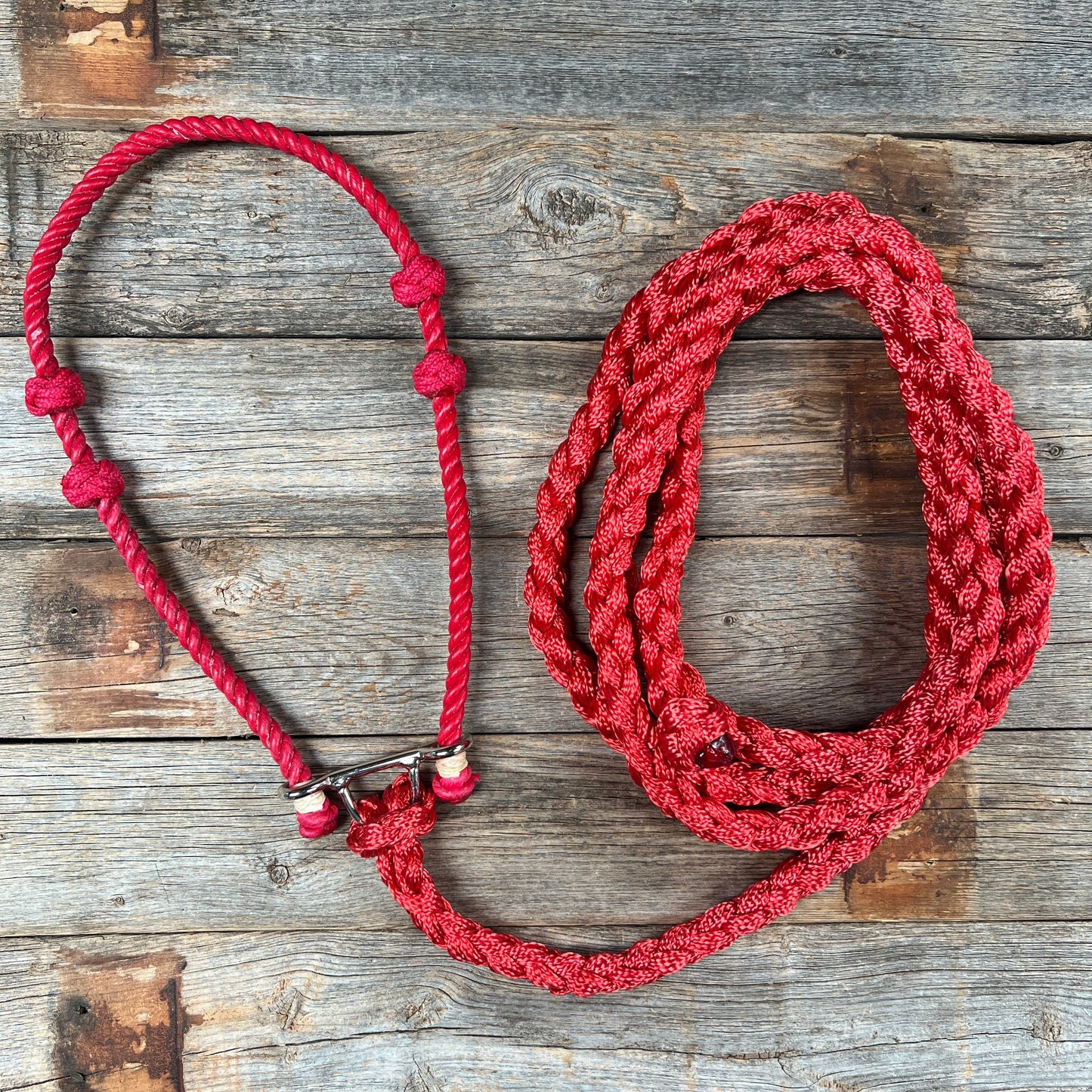 Lariat Noseband and Lead - Assorted Colors