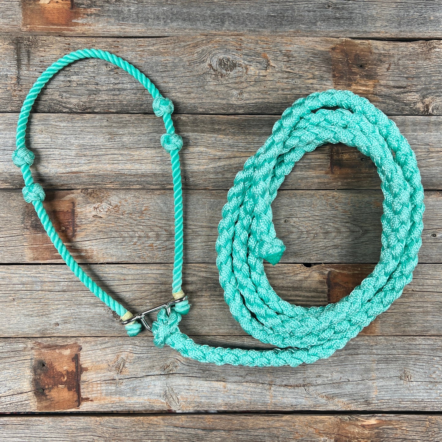 Lariat Noseband and Lead - Assorted Colors