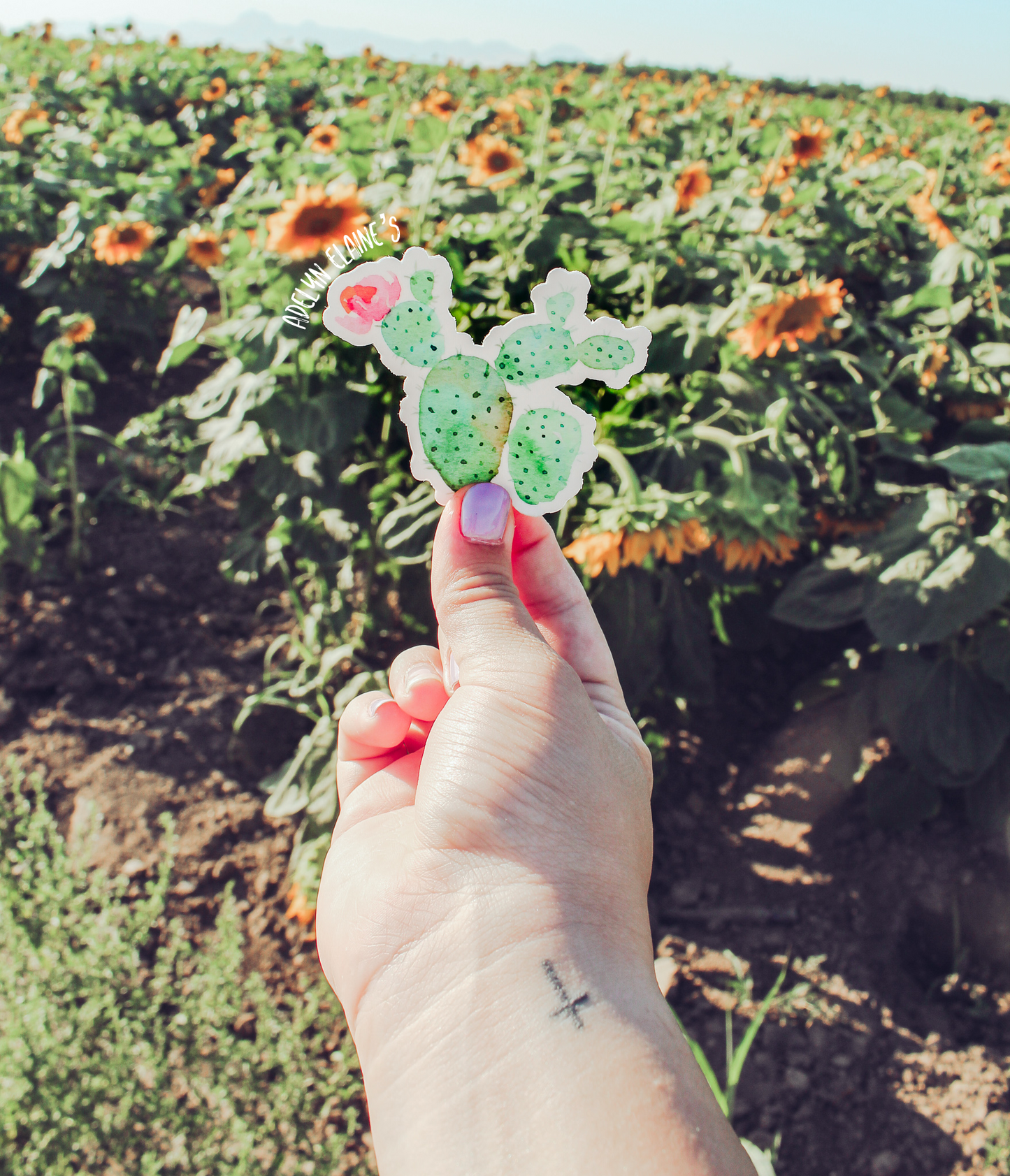 Cactus - Sticker