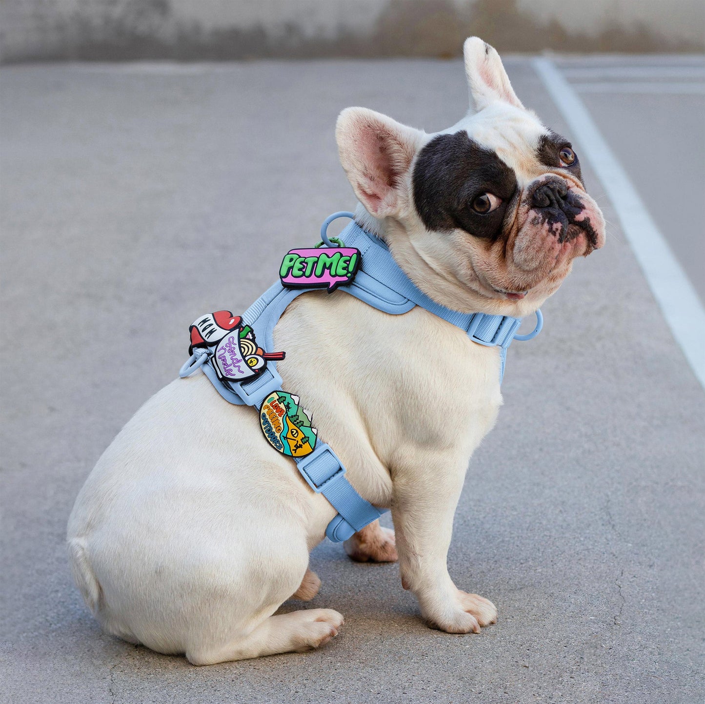 Peeing Outdoors Jiby Dog Charm