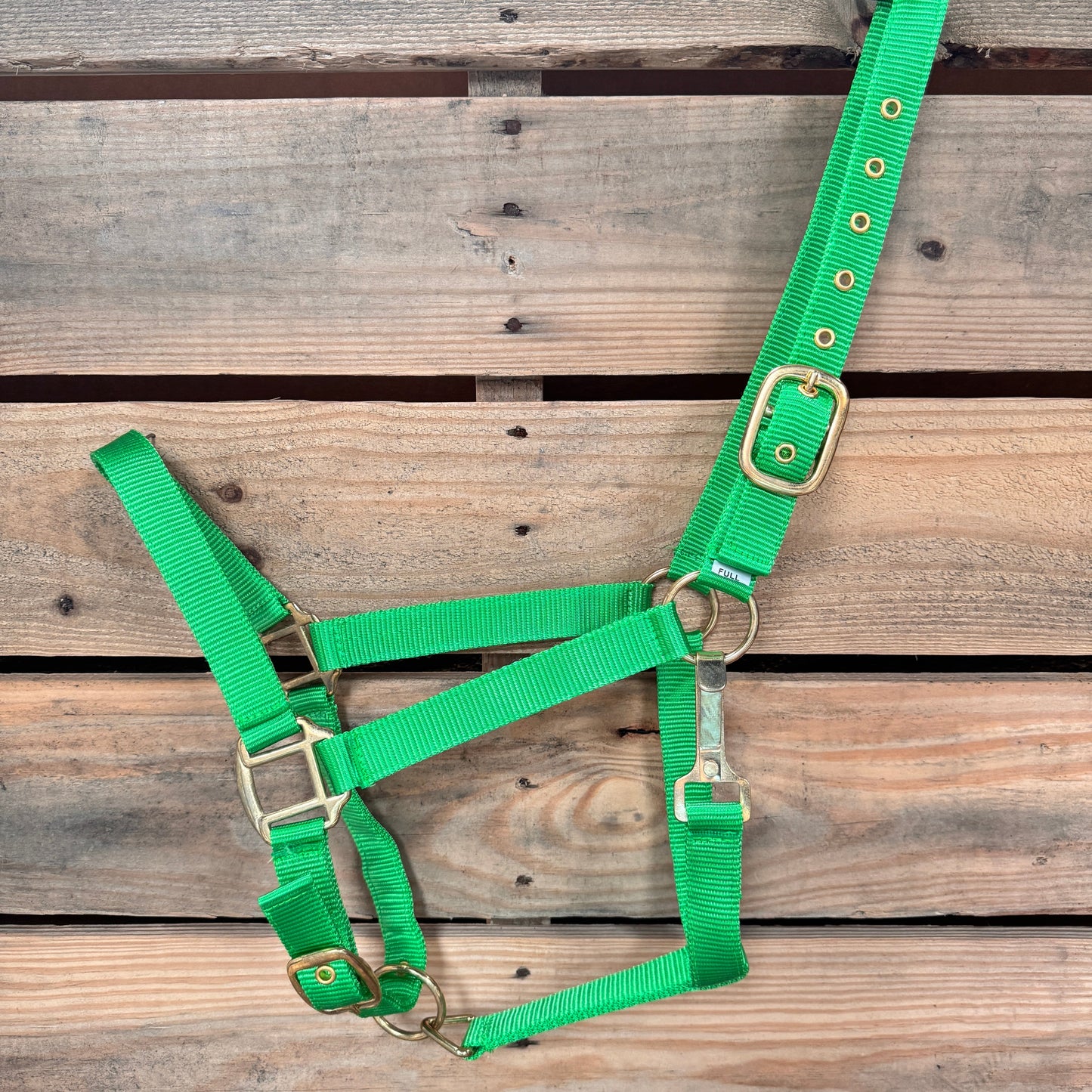 Lime Nylon Horse Halter NHNGN