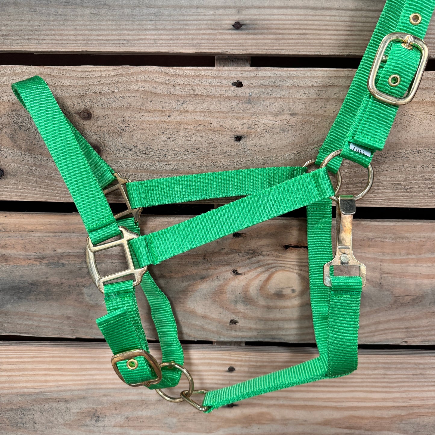 Lime Nylon Horse Halter NHNGN