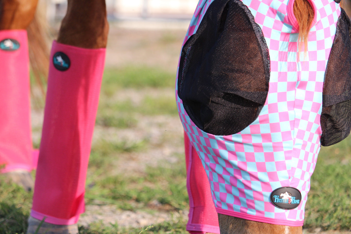 Checks Out (Pink/Turquoise) Fly Mask