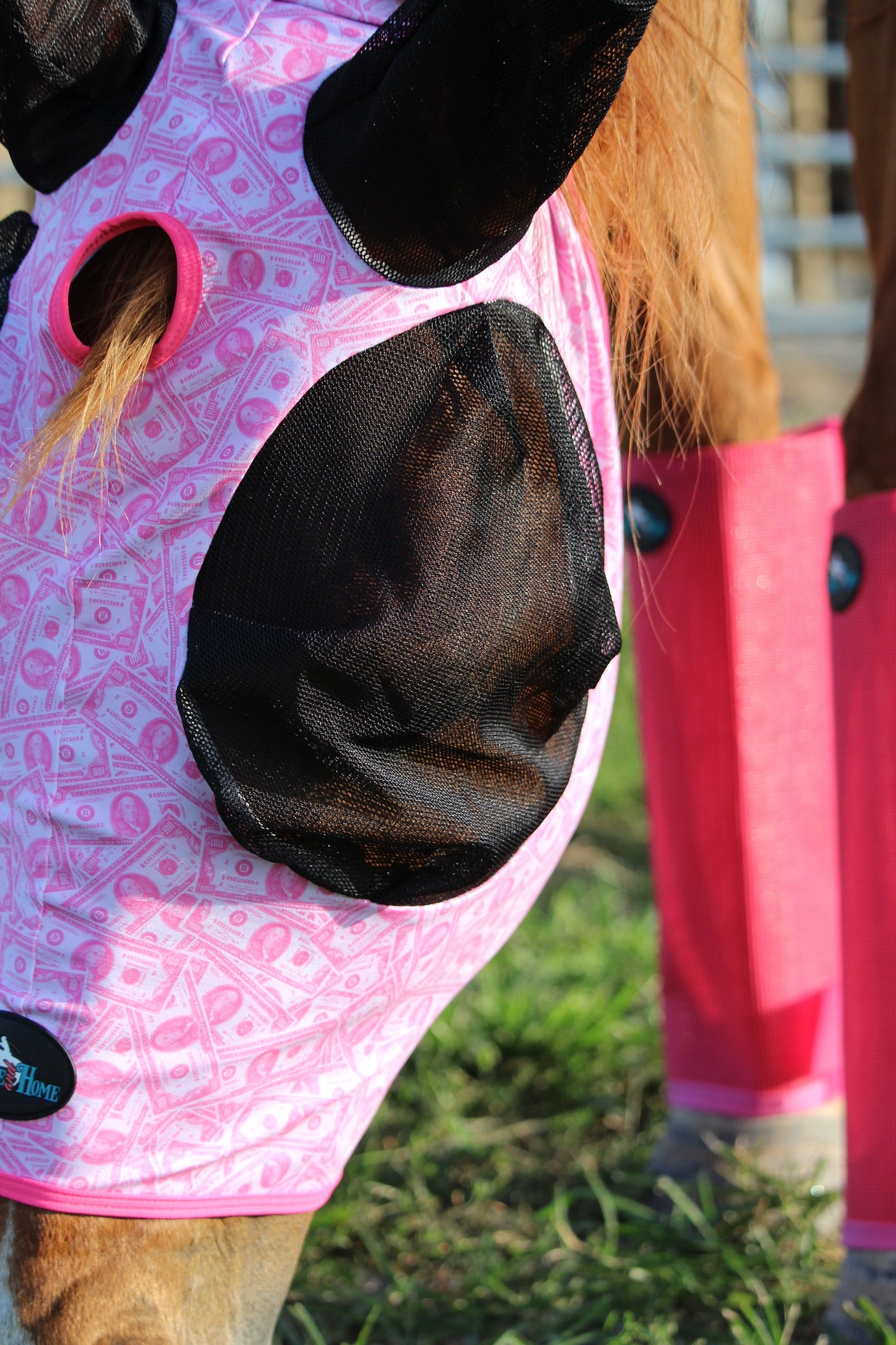 Dash for Cash (Pink) Fly Mask