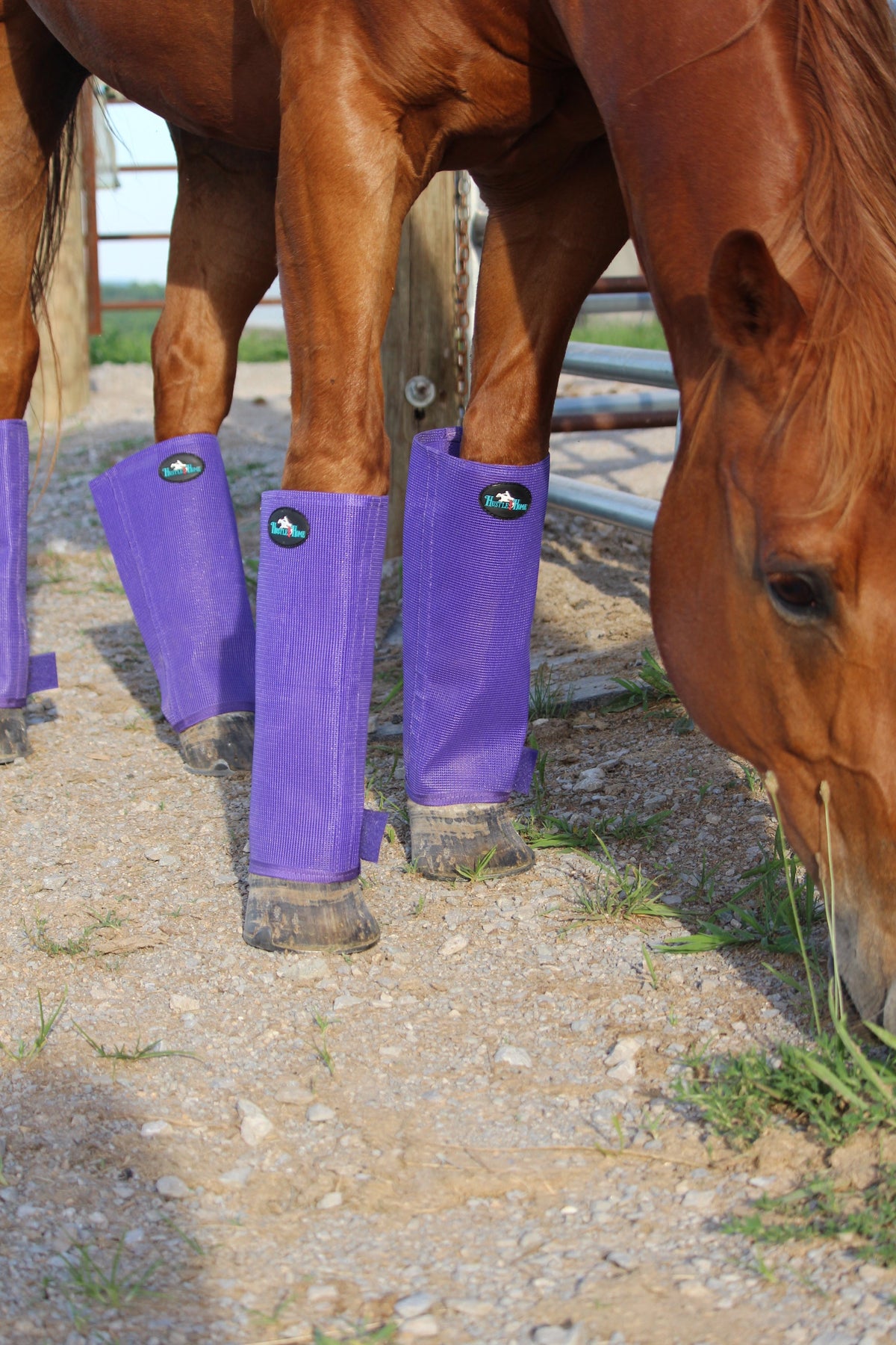 Classic Purple Stomp Stopper Fly Boots