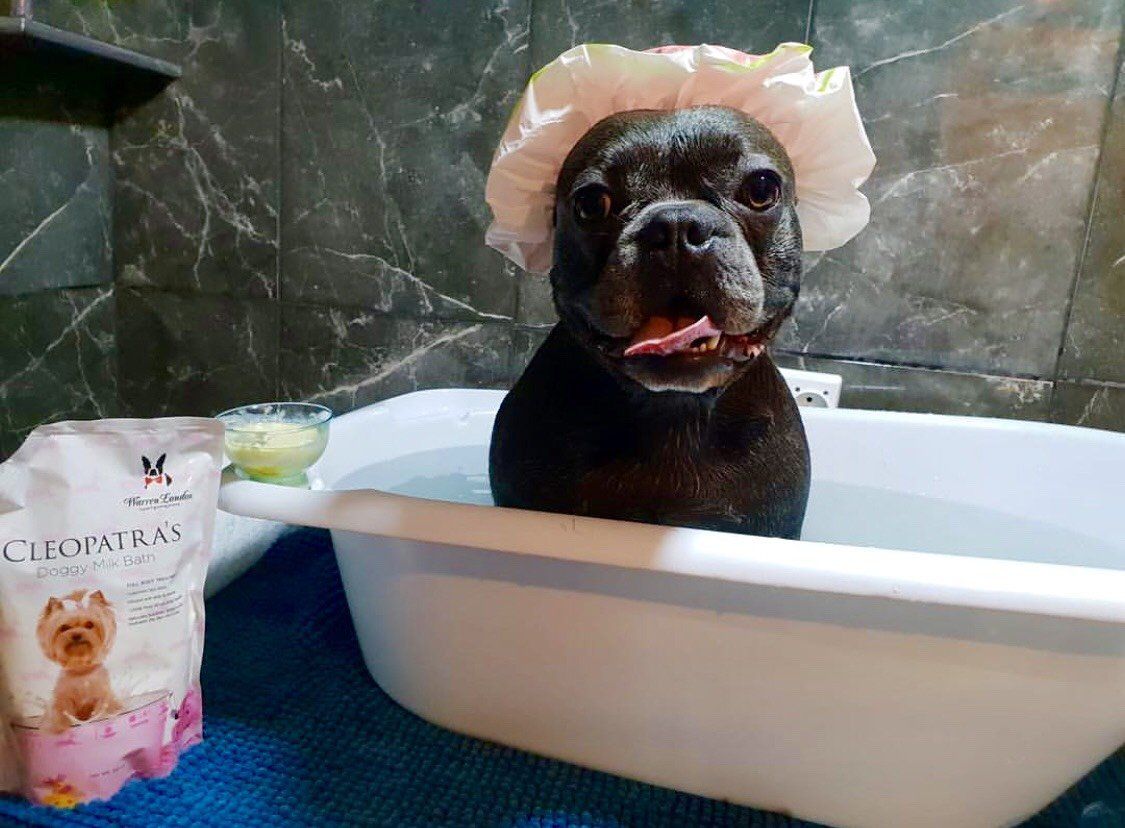 Cleopatra's Doggy Milk Bath