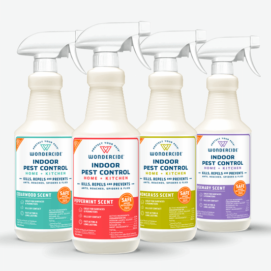 Indoor Pest Control for Home + Kitchen with Natural Essential Oils