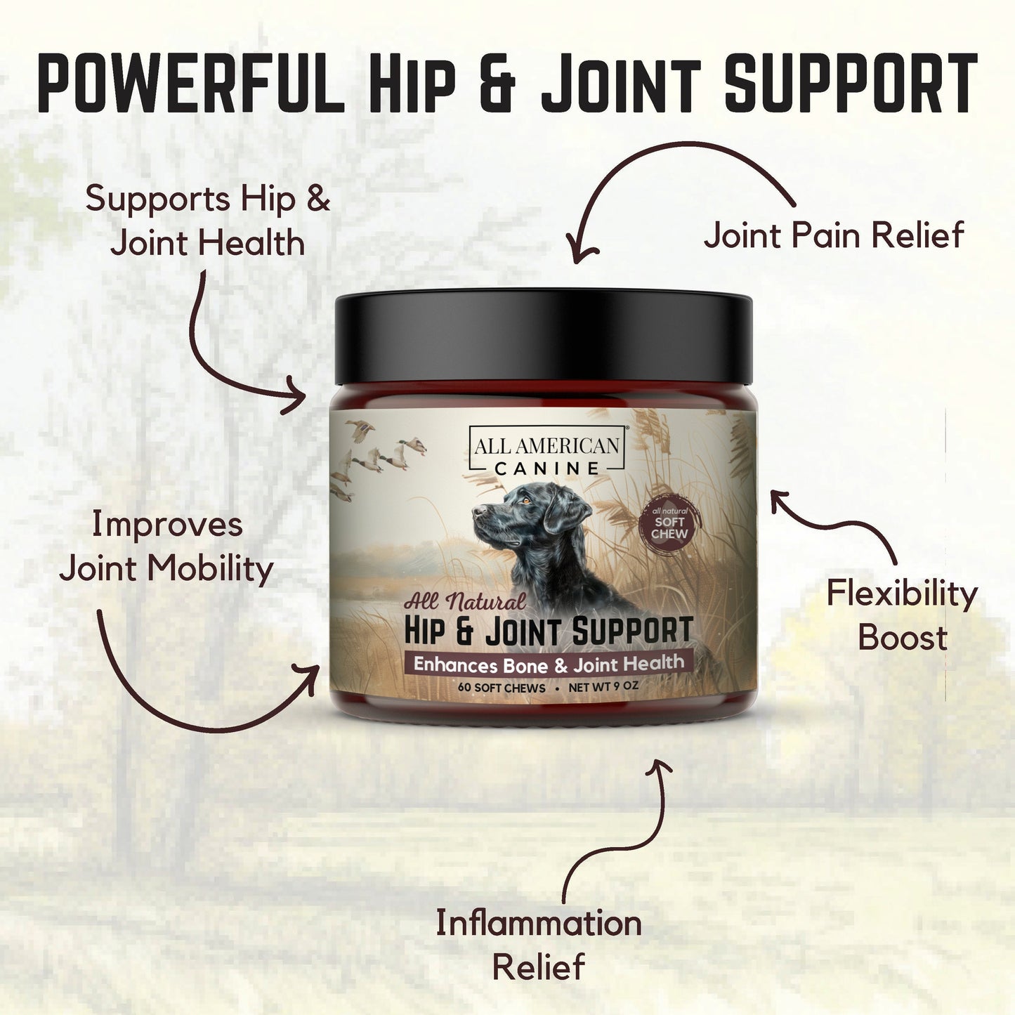 Hip & Joint Support Soft Chews