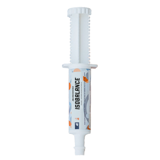IsoBalance - Horse Electrolyte Paste