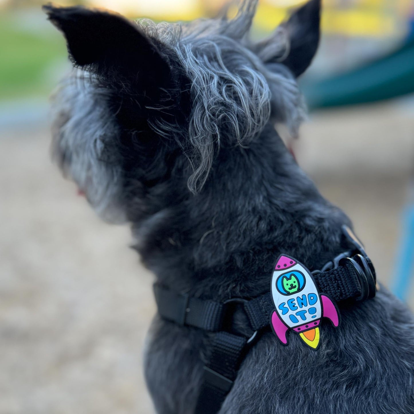 Rocket Jiby Dog Charm