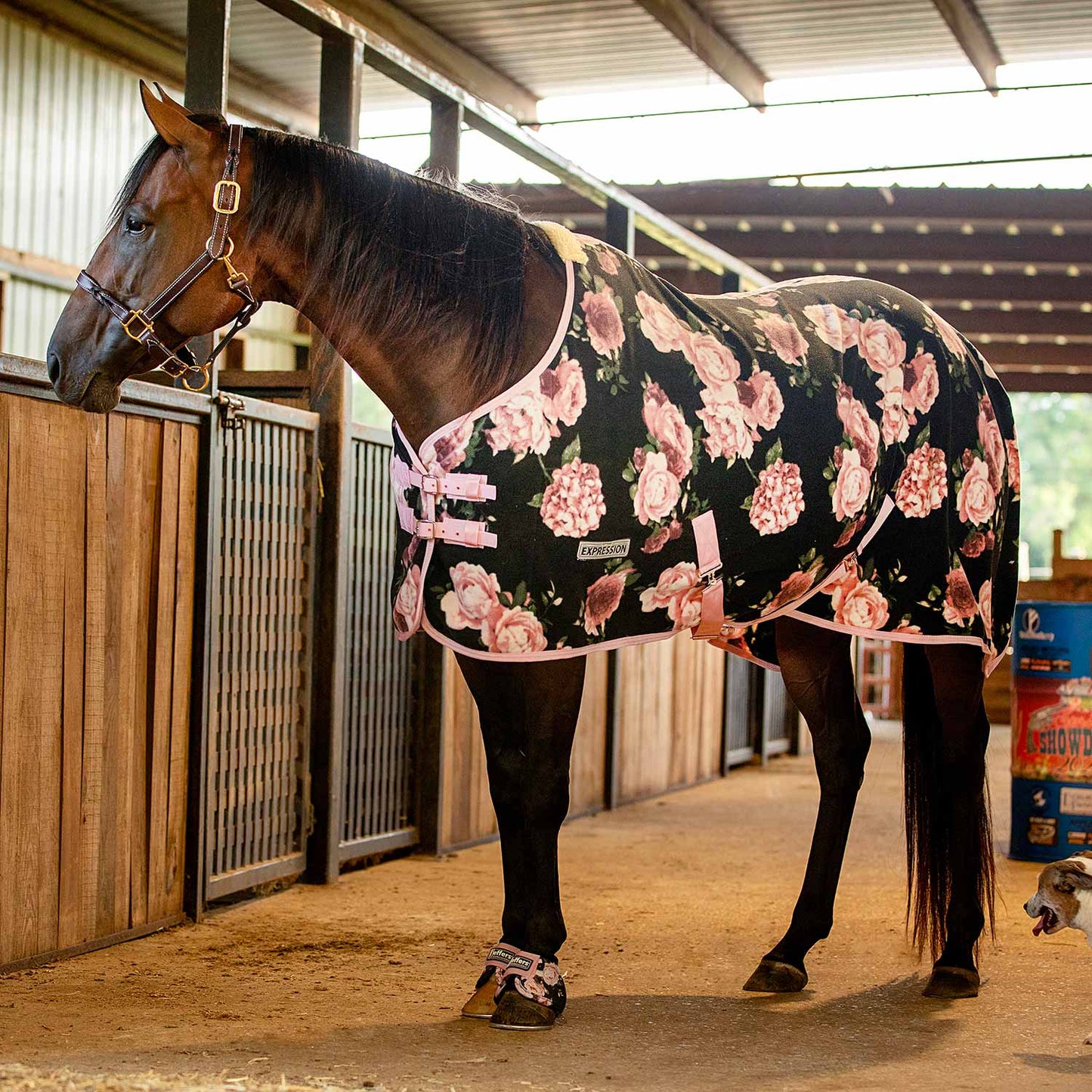Jeffers Expression Standard Neck Fleece Horse Cooler