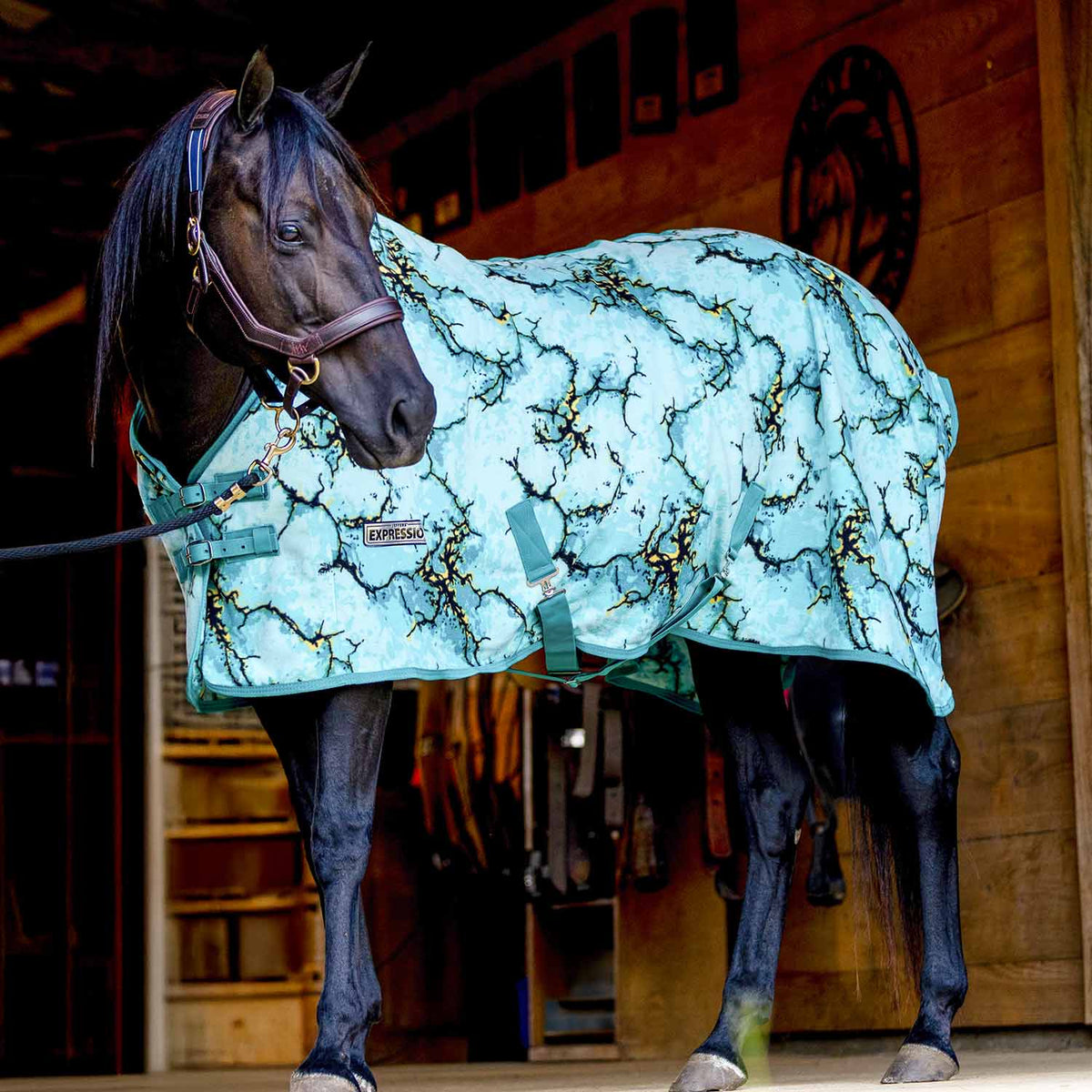 Jeffers Expression Standard Neck Fleece Horse Cooler