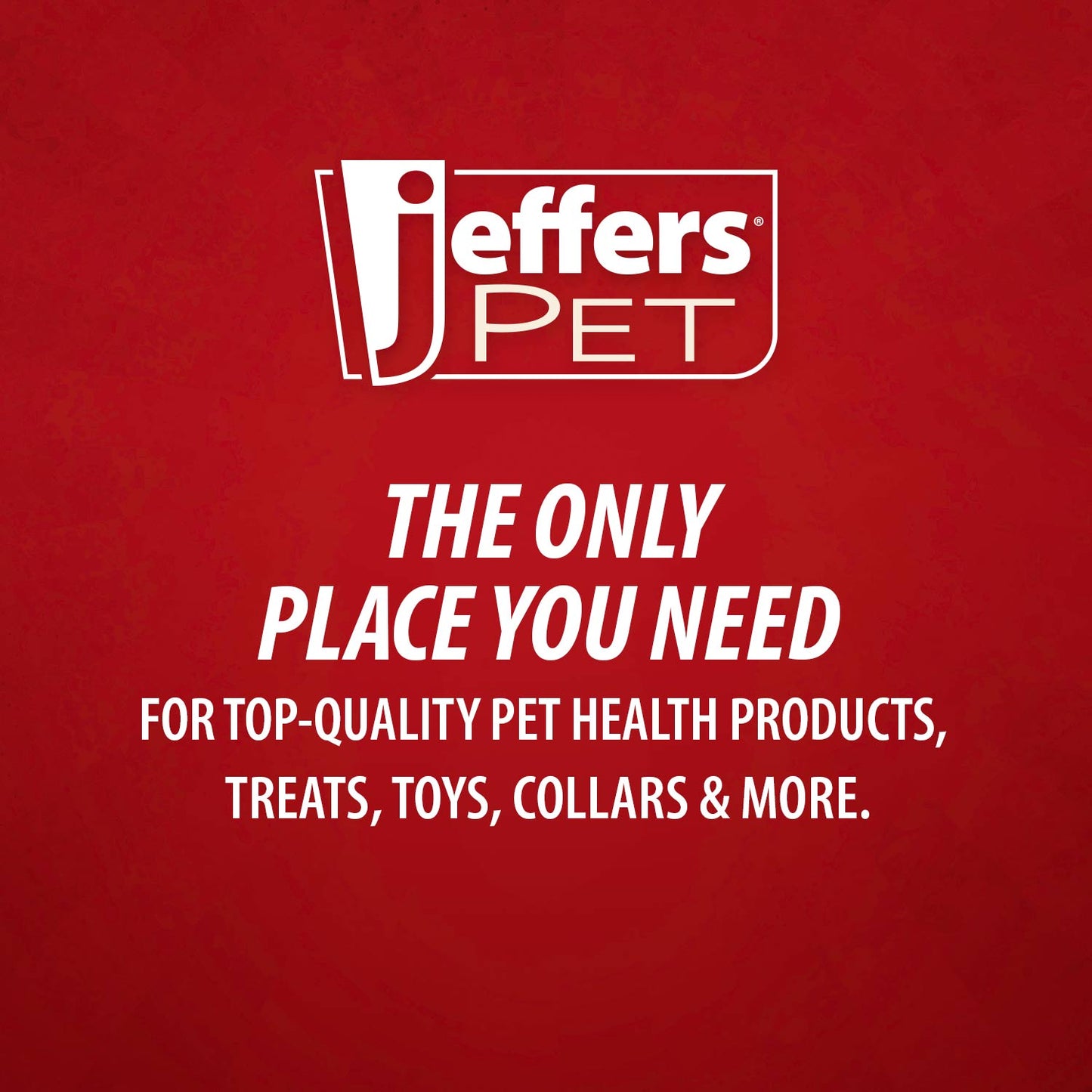 Jeffers Corn Cob Natural Rubber Treat Dispensing Dog Chew Toy with Dental Benefits