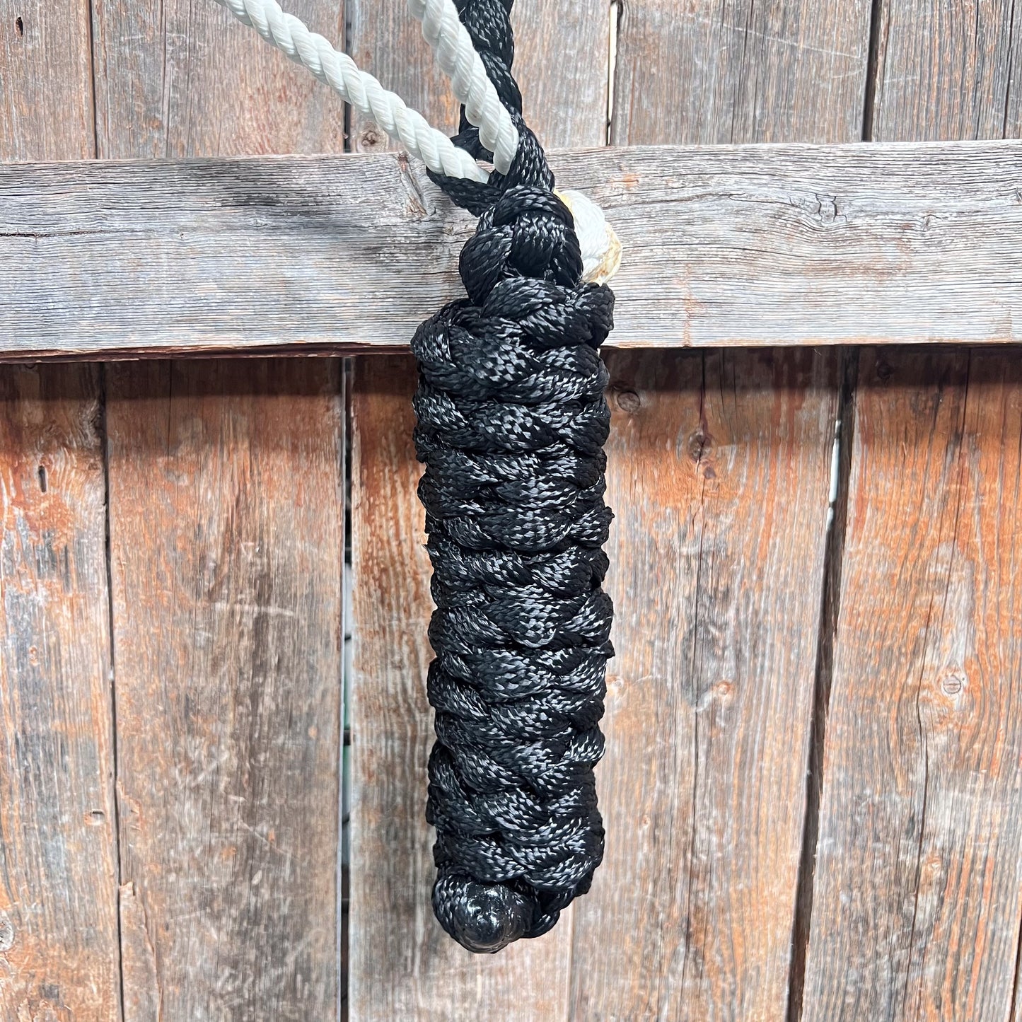 Black Mule Tape Halter with Lariat Noseband