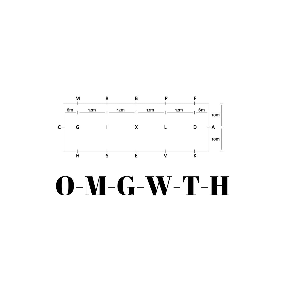 Die Cut Vinyl Sticker - 3x3 - OMGWTH