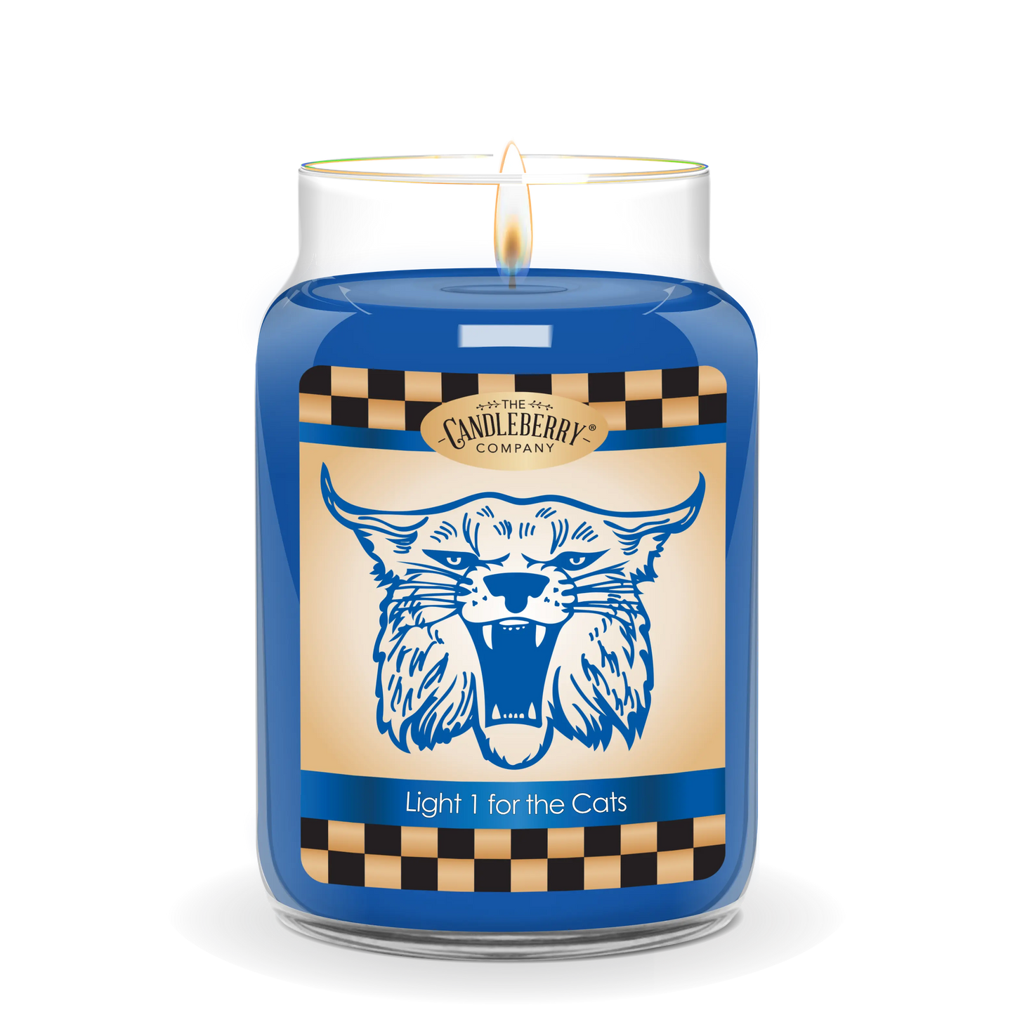 Light One For The Cats™, Large Jar Candle (Collective)