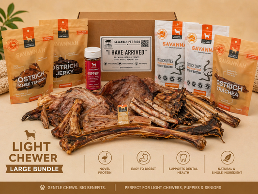 Light Chewer Large Box — 12 Ostrich Treats for Gentle Chewers