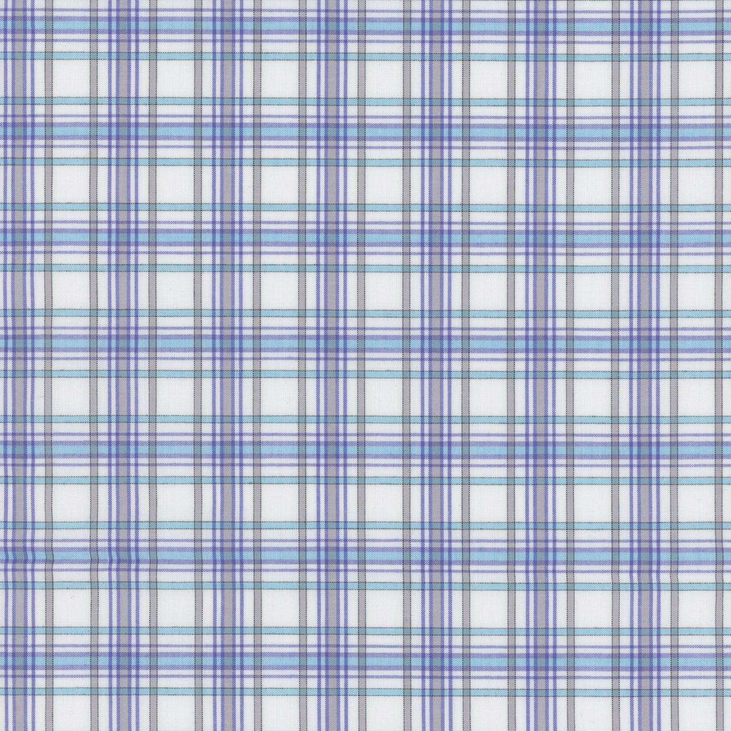 George Strait SS Spring Blue