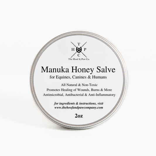 Manuka Honey Healing Salve with Herbal Infusion - For Dogs, Horses & Humans